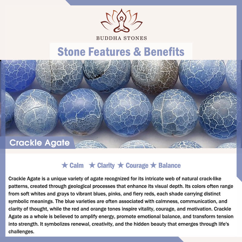 FREE Today: Spiritual Balance Natural Various Stones Dolphin Bracelet