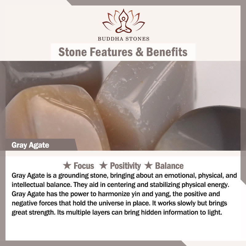 FREE Today: Positivity and Wisdom Natural Agate Stone Shark Bracelet