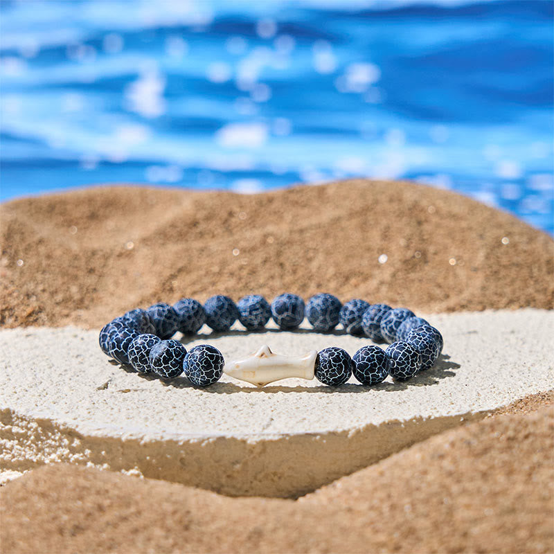 FREE Today: Positivity and Wisdom Natural Agate Stone Shark Bracelet