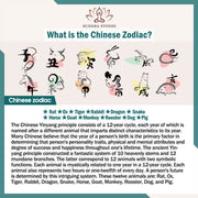 Buddhazens Tibet 108 Mala Beads Chinese Zodiac Natal Buddha Natural Sheep Horn Wealth Bracelet Mala Bracelet BS 7