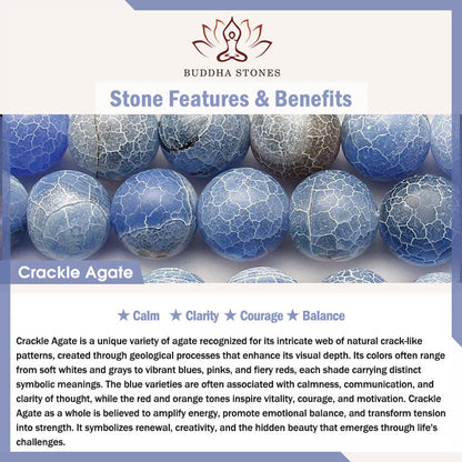 FREE Today: Spiritual Balance Natural Various Stones Dolphin Bracelet