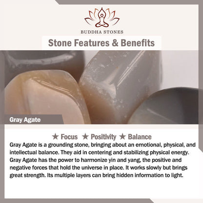 FREE Today: Positivity and Wisdom Natural Agate Stone Shark Bracelet