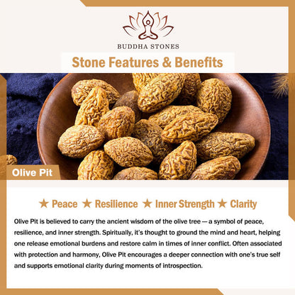Buddha Stones Olive Pit Bead Copper Coin Inner Strength Ring