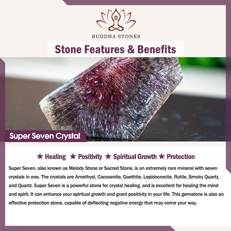 Buddha Stones 925 Sterling Silver Natural Red Super Seven Crystal Cat Necklace Pendant