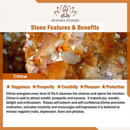 Buddha Stones 925 Sterling Silver Natural Citrine Cat Prosperity Necklace Pendant