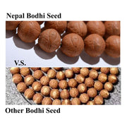 Buddhazens 108 Mala Beads Nepal Bodhi Seed Luck Wealth Tassel Bracelet Mala Bracelet BS 12