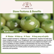 Cyan Bodhi Seed Mala 108 Beads Success Bracelet Necklace (Extra 30% Off | USE CODE: FS30) Bracelet BS 5